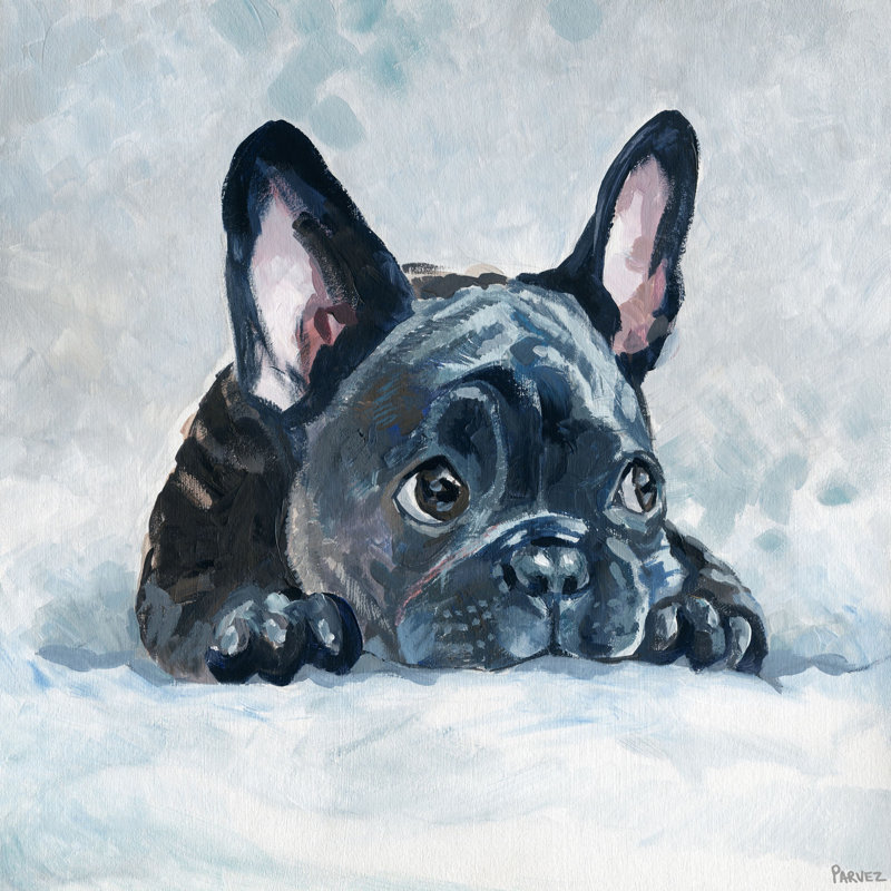 Reproduction d'art sur toile tendue, "Afayez le bouledogue" par Parvez Taj, H 18 po x l 18 po x P 1,5 po