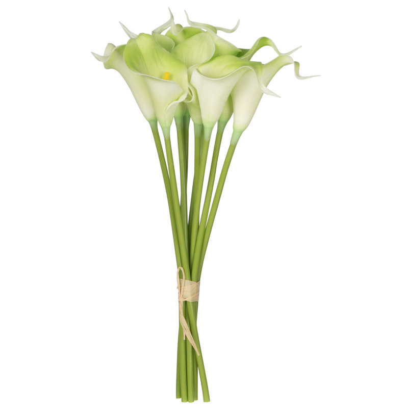 Calla Lily Bush, Vert