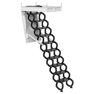 WFX Utility™ Rothley Wall Mounted Attic Ladder Folding Ladder Loft Stairs  Attic & Reviews - Wayfair Canada