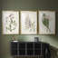 Antique Botanical Collection I - Impression personnalisée de qualité supérieure avec cadre mat - 3 pièces-1819233687-1819233686