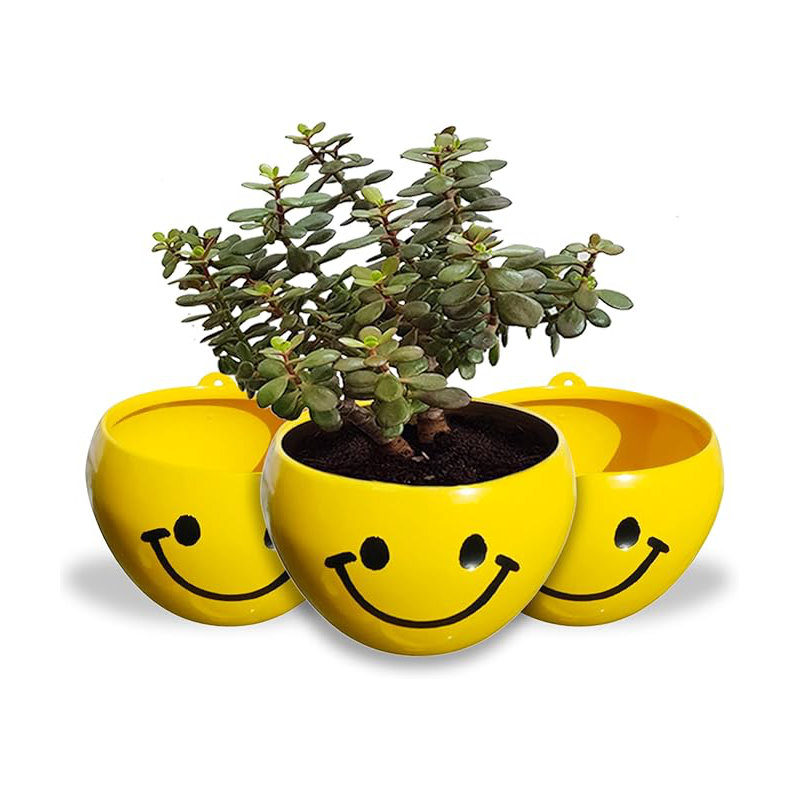 Plant Pot With Drainage Hole, Decorative Metal Vase Ideal For Indoor Home Decor