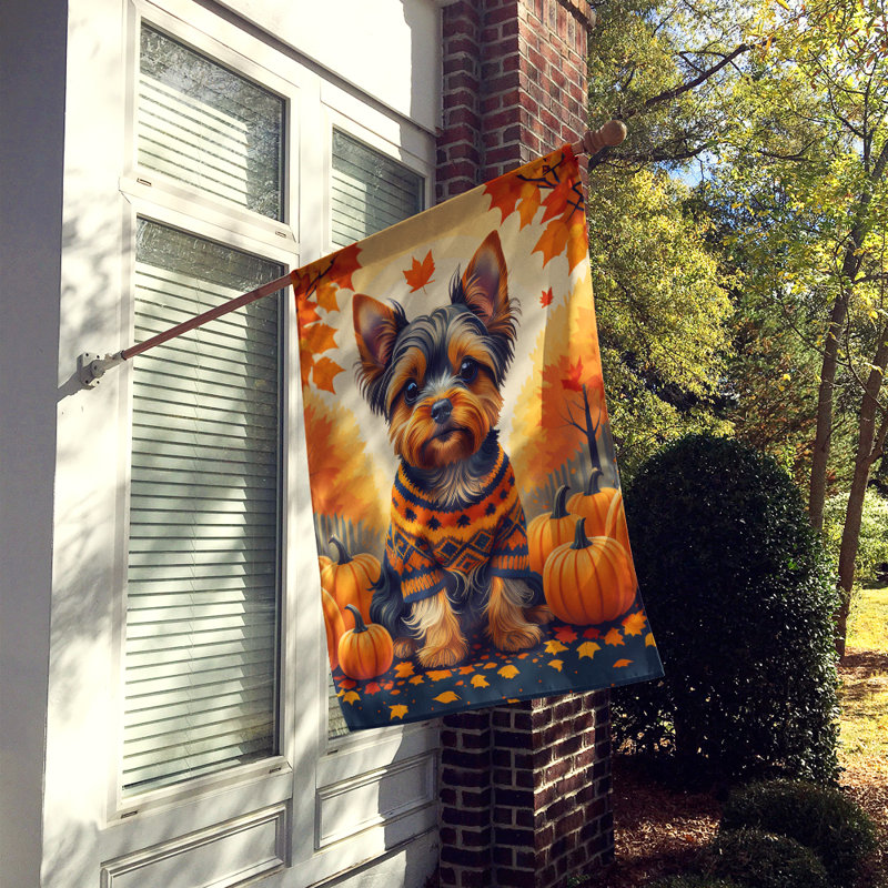 Double Sided 40'' H x 28'' W Polyester House Flag
