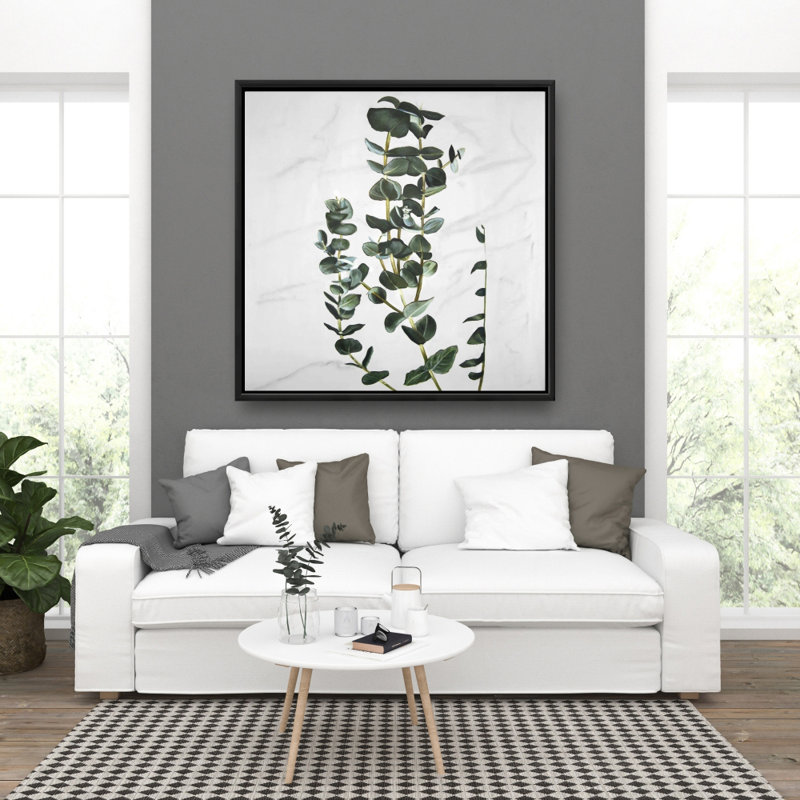 " Eucalyptus Stems "