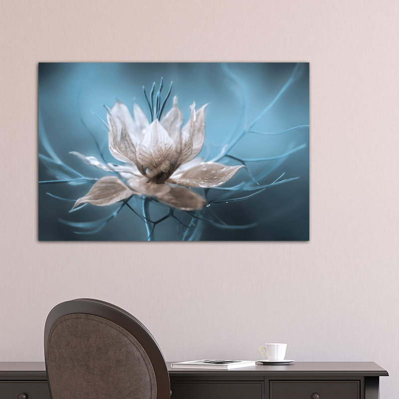 «Nigella I» par Mandy Disher - reproduction de photo, H 26 po x l 40 po x 1,5 po, Toile tendue