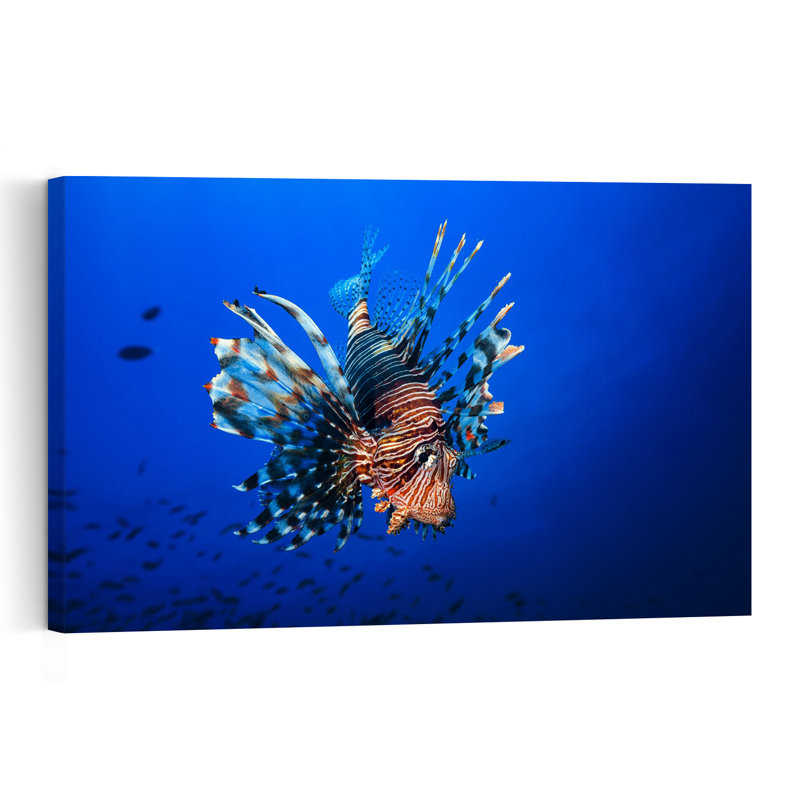 Striking Lionfish Underwater Vibrant Lionfish Fish Nature Ocean Wall Art Print 1 Piece Wrapped Canvas Wall Art
