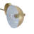 Pedretti Bronze 2-Light Indoor Sconce