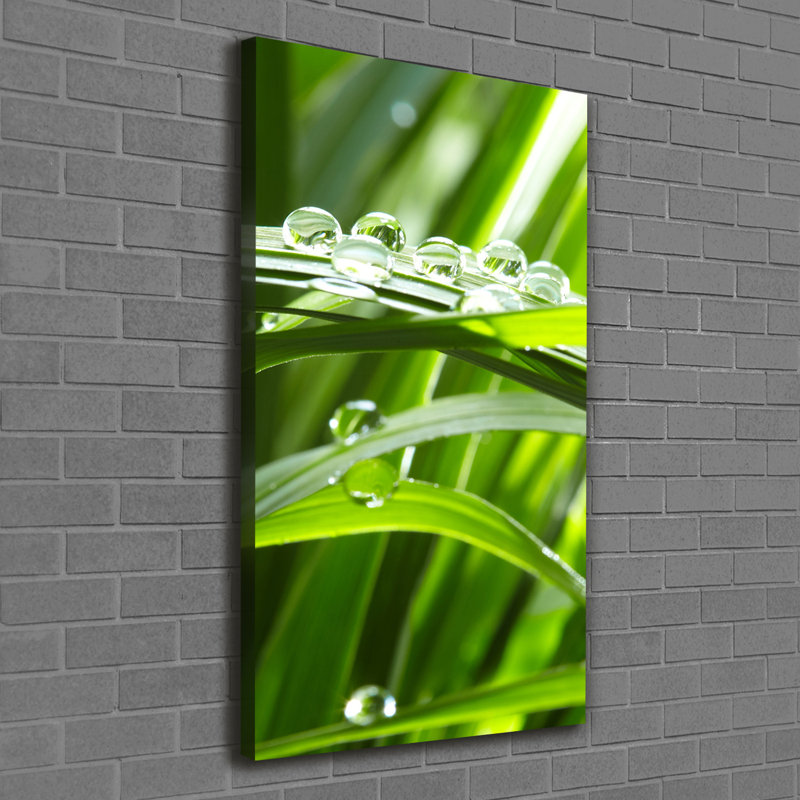 Blades Of Grass - Wrapped Canvas Print