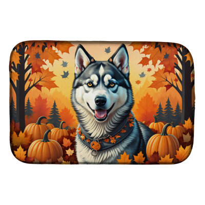 Drying Mat