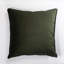 Wanderland Pillow Cover & Insert - Aureum Highveld Graphite Velvet