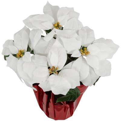 Arrangement de poinsettias