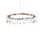 Morning Grove 10 - Light Chandelier
