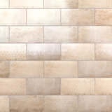 Camden 8" x 4" Ceramic Patterned Subway Tile