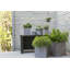 Planter
