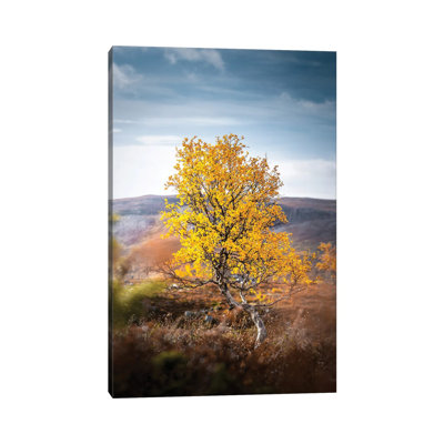 Lonely II by Lauri Lohi - Wrapped Canvas Print
