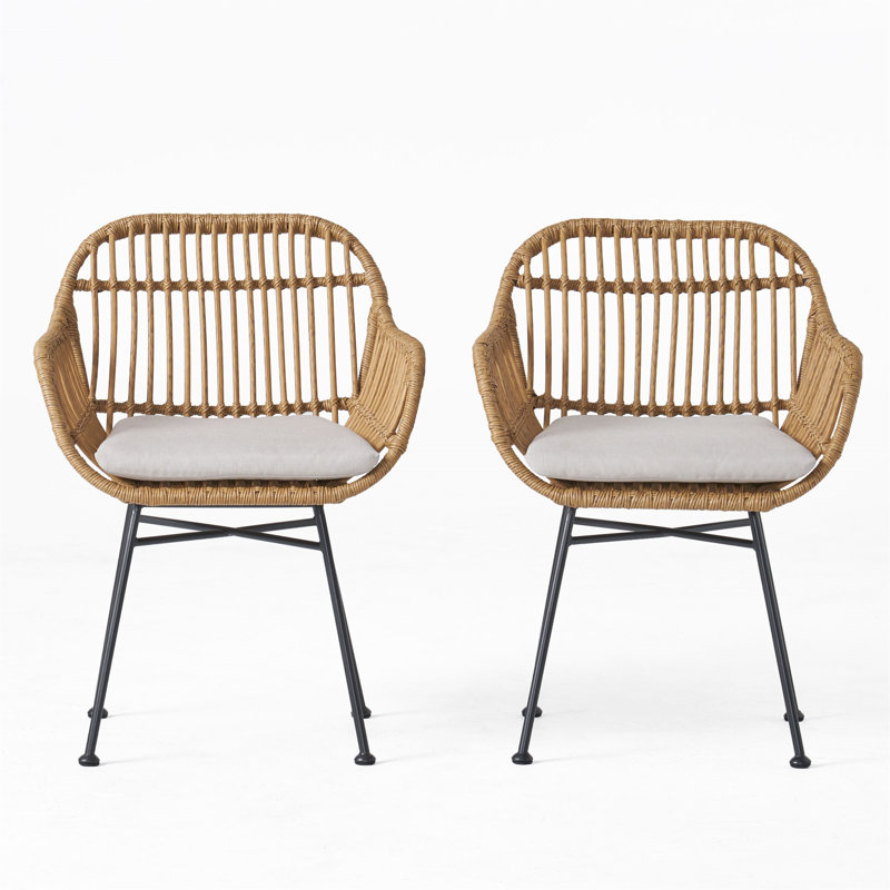 Chaises en faux rotin avec coussins Rodney, Beige/brun