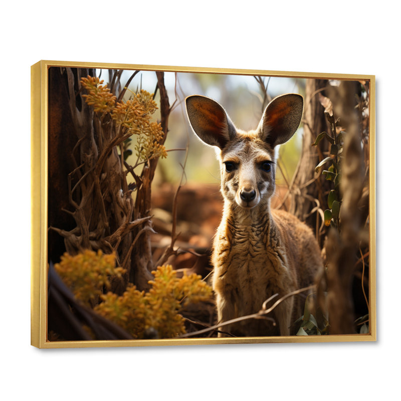 Kangaroo Portrait - Animals Canvas Art Print, Cadre flottant doré, H 34 po x l 44 po x P 1,5 po