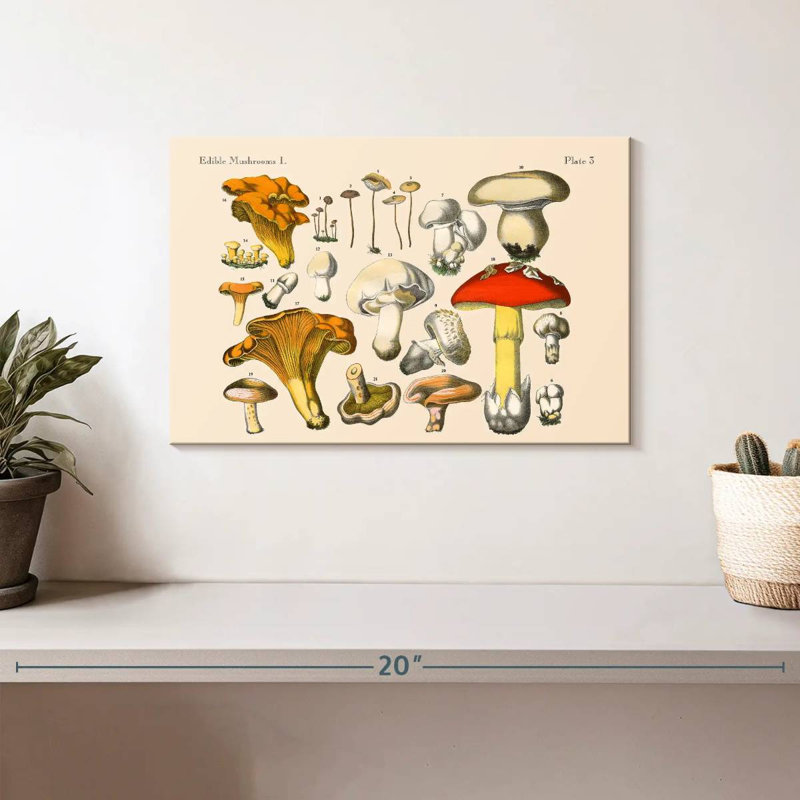 Champignons rétro Yarlin, H 8 po x l 12 po