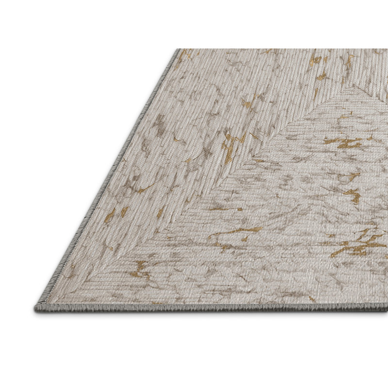 Machine Washable Gray Area Rug, Rectangle 4' x 6'