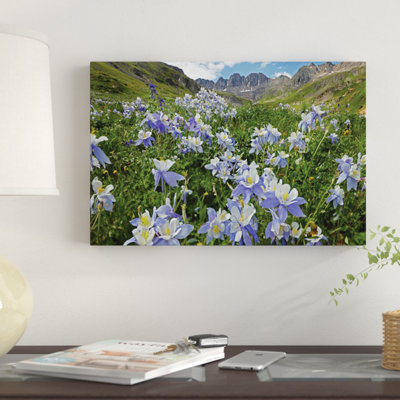Colorado Blue Columbine Flowers, American Basin, Colorado I by Tim Fitzharris - Unframed Gallery-Wrapped Canvas Giclée on Canvas