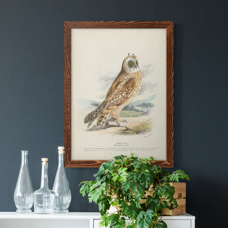 Toile encadrée de qualité supérieure Hawk Owl - prête à être accrochée, Érable, H 38 po x l 28 po x P 1 po