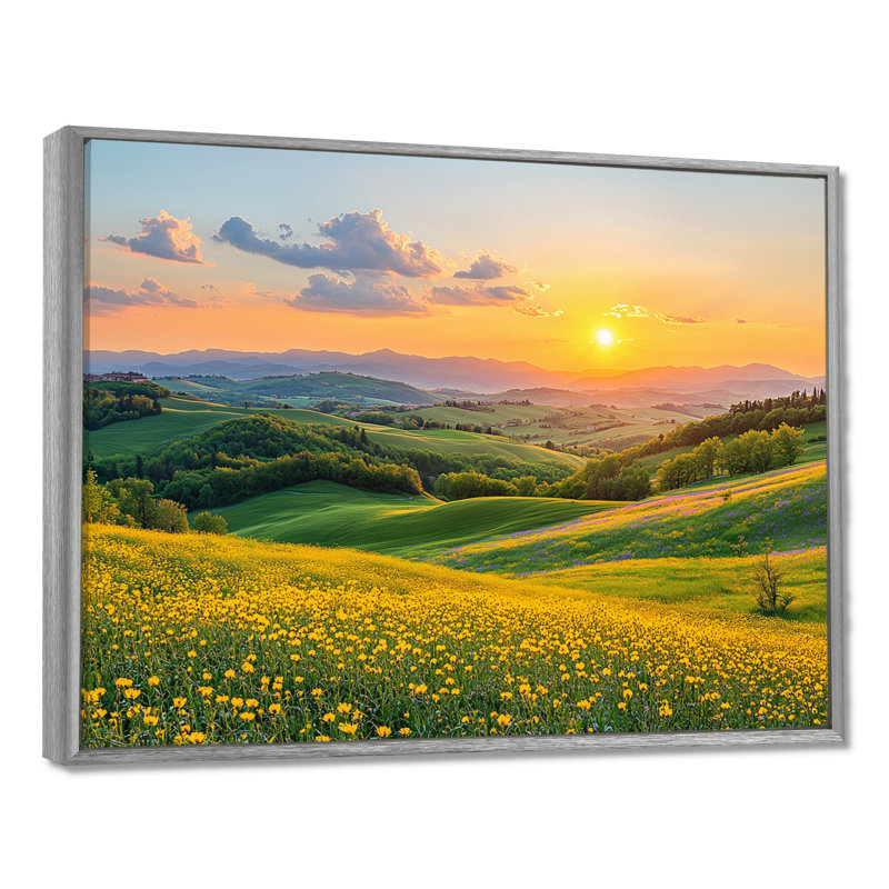 «Countryside Rolling Hills At Golden Hour I», impression sur toile encadrée, H 12 po x l 20 po, Cadre flottant, Argent argent