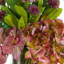 Ahreila Faux Floral in Vase