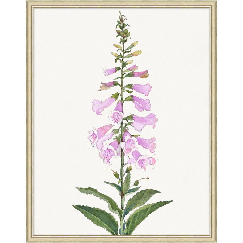 Foxglove Print by Lillian August