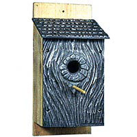 11'' H x 8'' W x 5'' D Wall