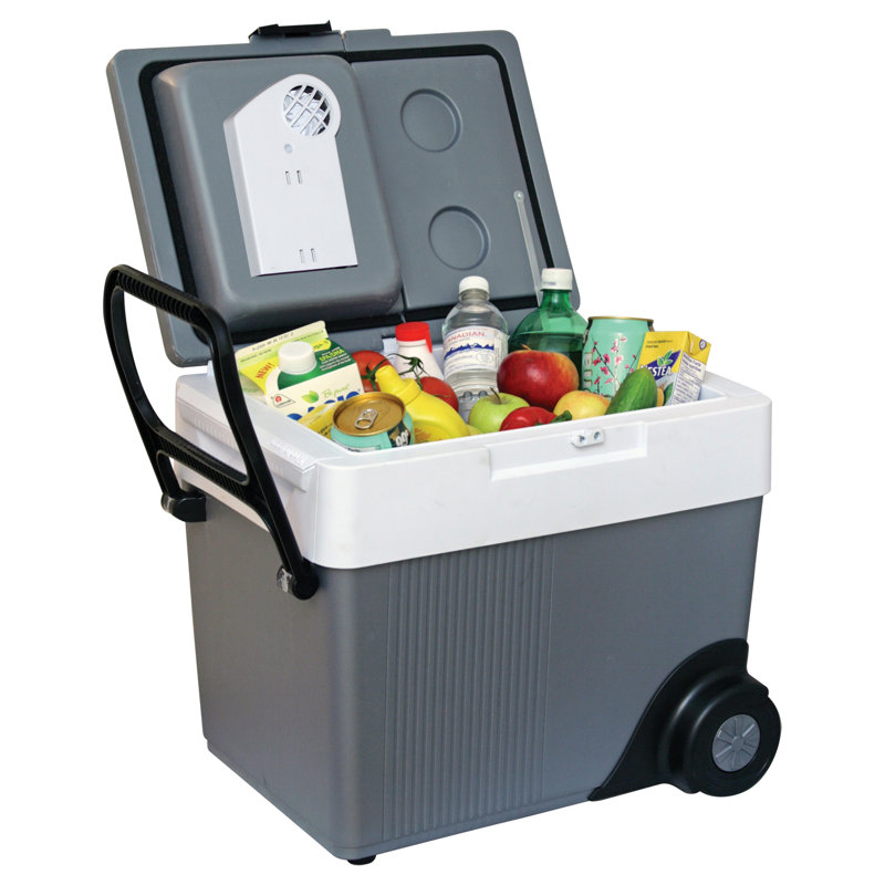 Glacière électrique à roulettes Koolatron 12V 31L (33 pte), gris