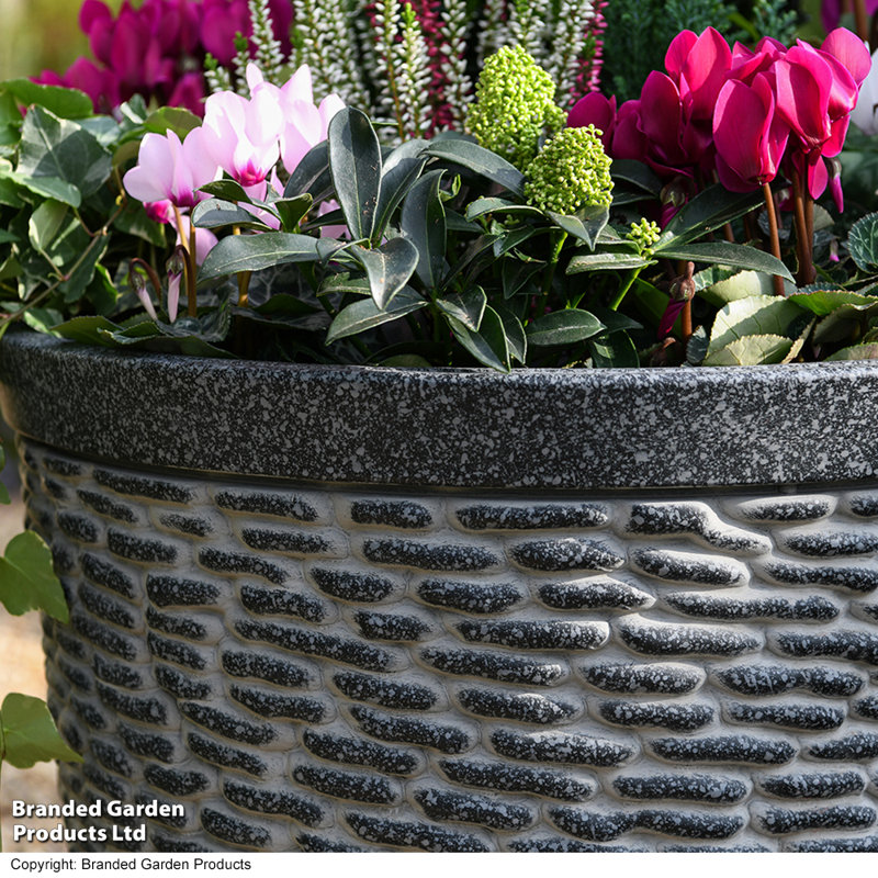Pot Planter