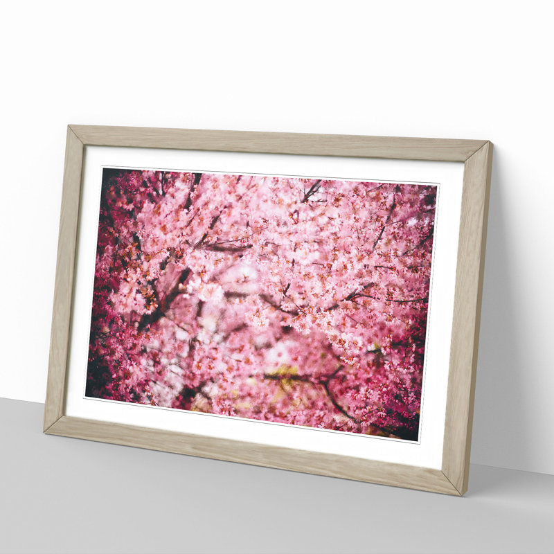 Pink Cherry Blossom Flowers Vol.3 - Picture Frame Graphic Art, 36cm H x 48cm W x 2cm D, Oak Framed