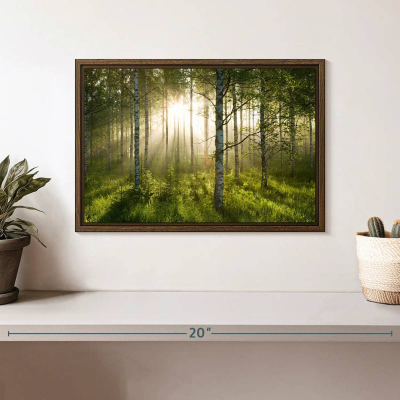 Birch Forest Sunlight, 13 po x 9 po, Cadre flottant noyer