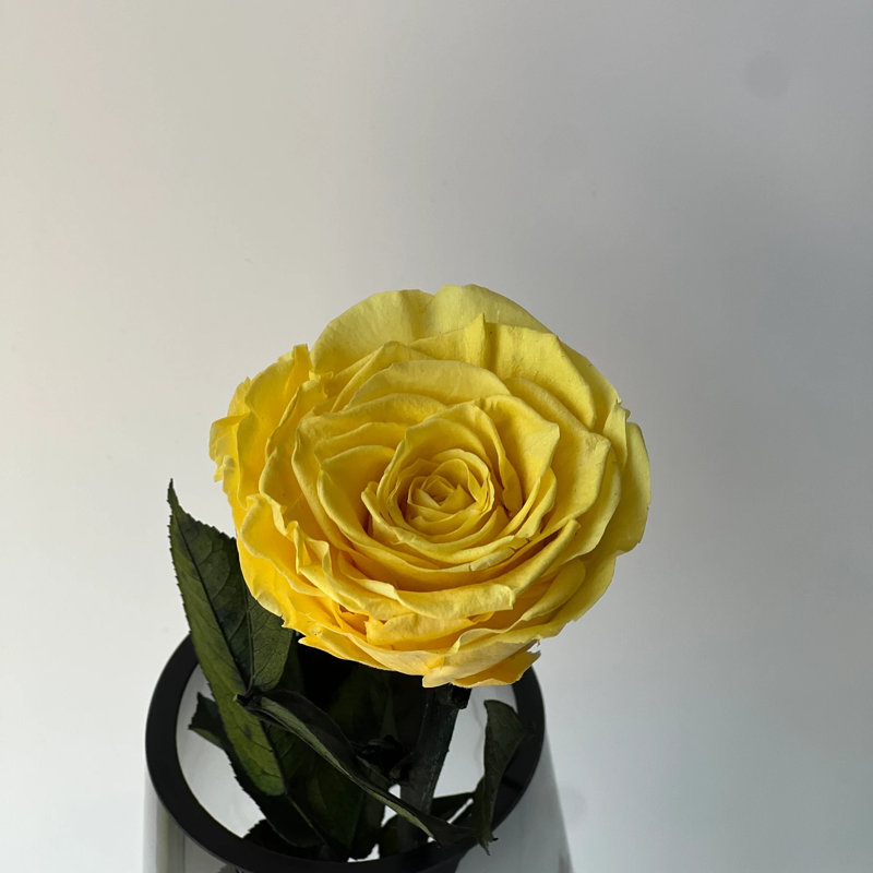 Arrangement de roses préservées