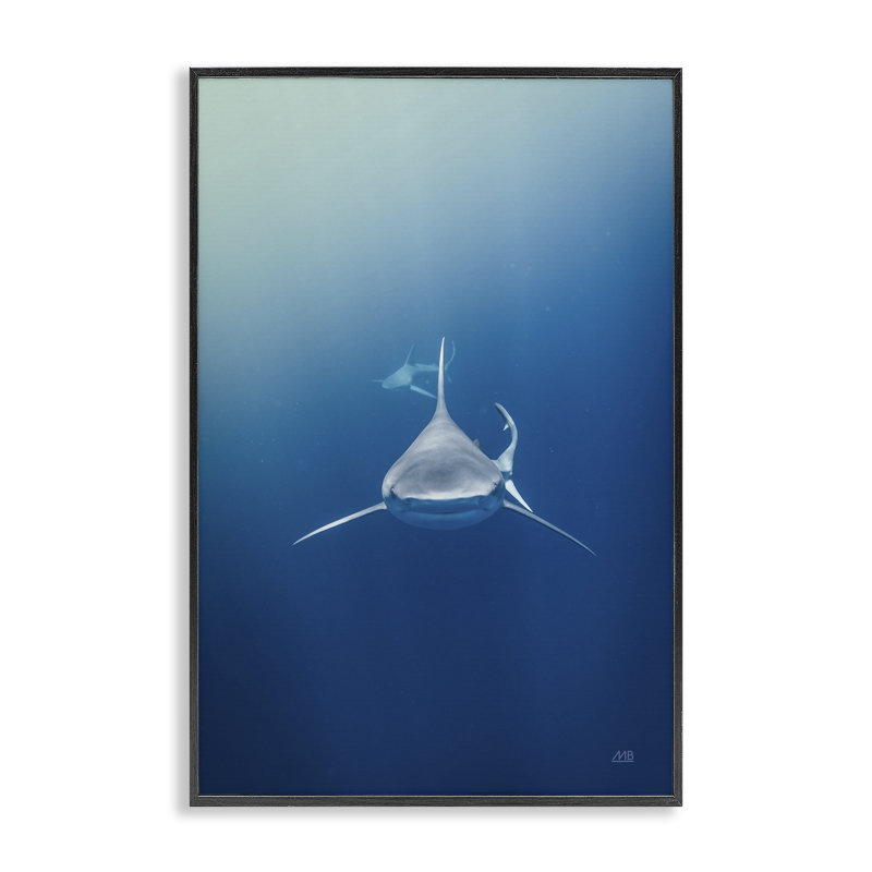  Heads Up Shark Giclee Art by Max Blakesberg Studios, 18" H x 12" W, Midnight Black Framed Giclee