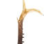 Horn Deco Sculpture