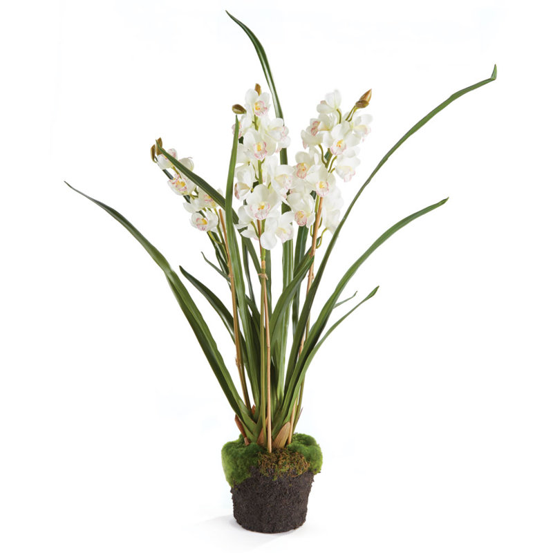Fleur d'orchidées Alina