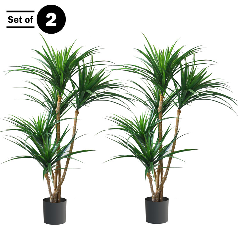 Primrue Set of Two Yucca Artificial Trees
