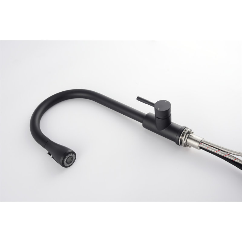 Kitchen Faucet With Pull Out Spraye