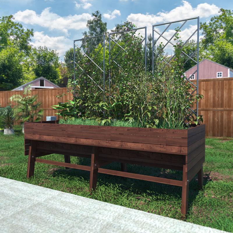Lit de jardin surélevé extérieur en bois Eckmark, Brun rustique