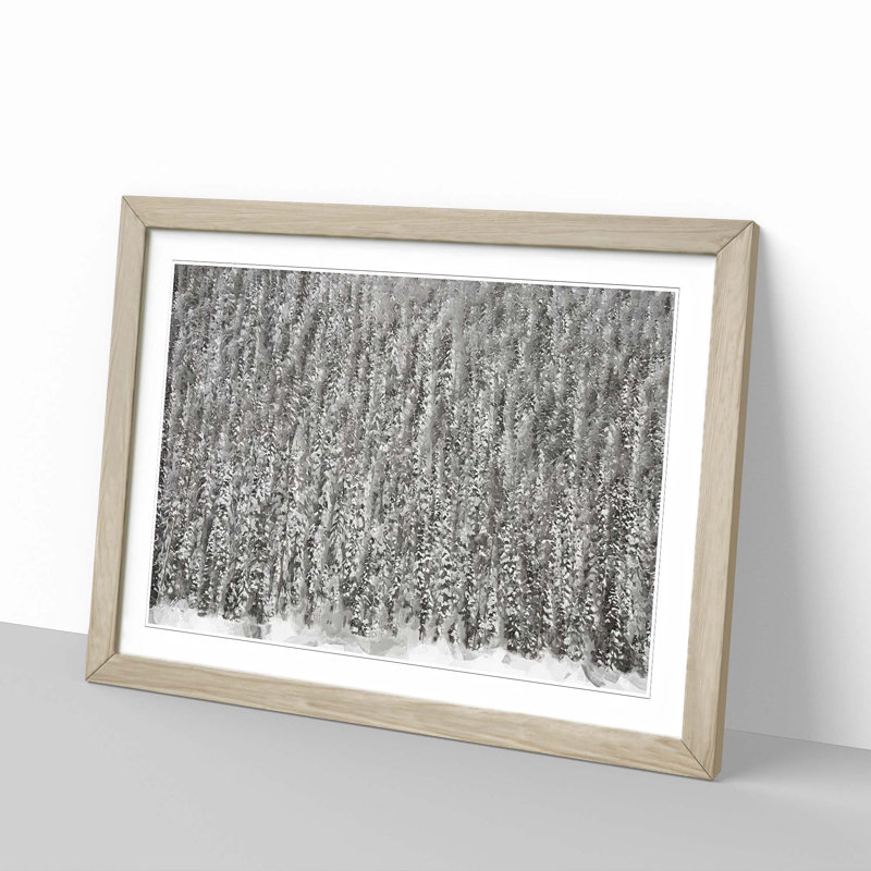 The Winter Forest in Canada in Abstract - Framed Print, 35cm H x 50cm W x 2cm D, Oak