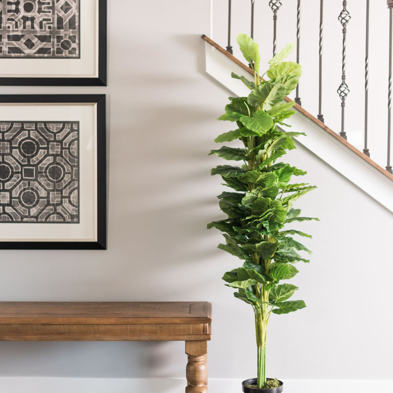 66 in Green Artificial Philodendron Tree in Black Pot