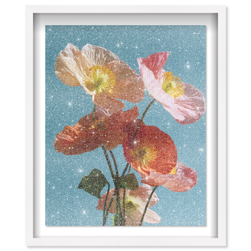 Poppy Bloom II Shadowbox Floral & Botanical Print by Oliver Gal, Black Frame, 16 x 20, 17.5"H x 21.5"W, White Shadowbox