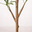 5 pi / 6 pi olivier artificiel en pot blanc moderne-129915396