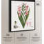 Glaïeul, Carneus, toile par Art Remedy-112532432-112532433-113439795