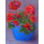 Cherry Red Print by Dina Gardner-92904798-92904799-64401992
