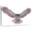 Owl Power-107703797