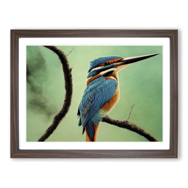 Enigmatic Kingfisher Bird - Single Picture Frame Print, Walnut Framed, 25cm H x 34cm W x 2cm D