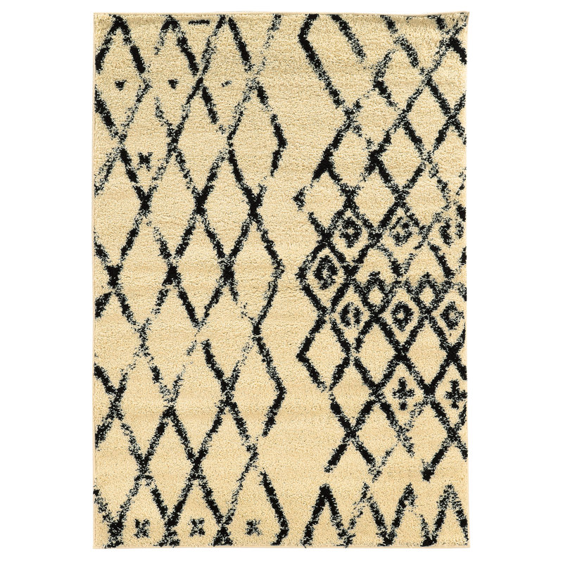 Tapis ivoire / noir à poils longs Kerens, Rectangle 3 pi x 5 pi