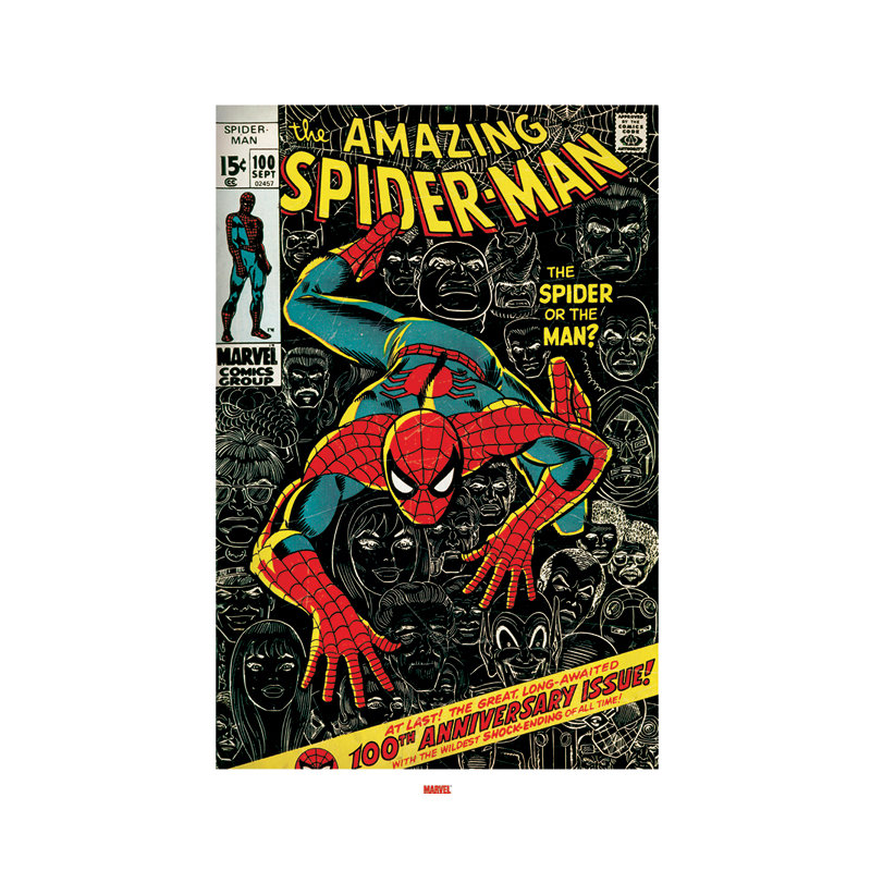 Spider-Man - Square Print