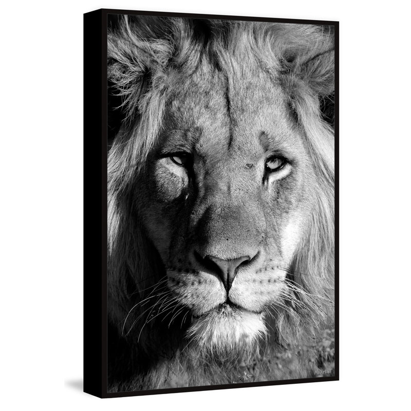 Lion Portrait by Marmont Hill - Painting, Canvas, 114cm H x 76cm W